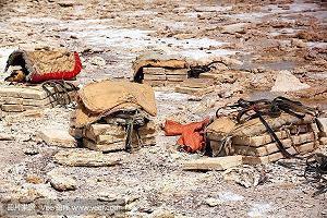 2021年富有哲理的句子(精选55句)