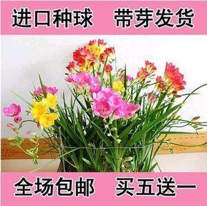 孩子六周岁生日朋友圈文案(精选43句)