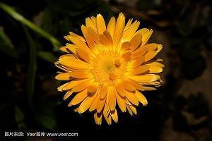 2.14情人节祝福语微信