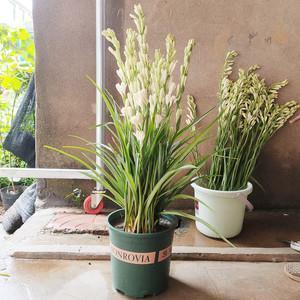 抖音冬天短句文案干净治愈