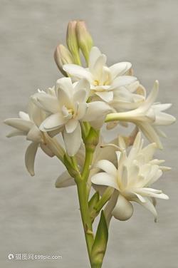 15首描写关于冬天的古诗大全