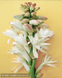 2021经典唯美的语录(精选74句)