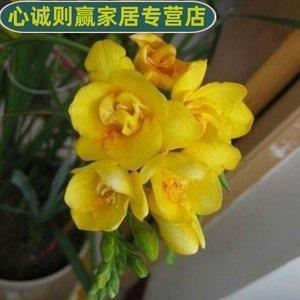 意义深奥内涵的心情说说41句