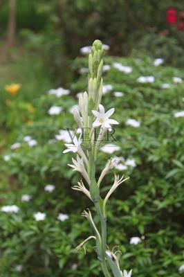 2021适合元宵节发朋友圈句子