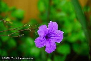 心里牵挂一个人的说说25句