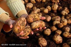 国庆节暖心祝福语句子(精选96句)