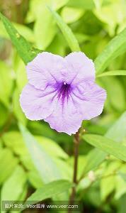 对人彻底心寒了的语句 说话让人心寒的句子