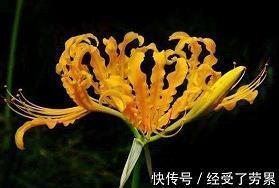 自己出门远行的唯美句子