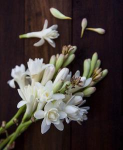 2021年正月十五闹元宵的祝福语文案