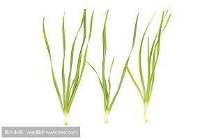 2021年网络经典语句