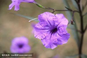 有些悲伤的心情说说最新版(精选40句)