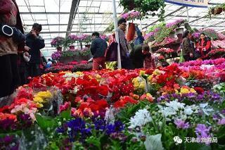 关于爱情的表白句子 打动人心爱情表白句子