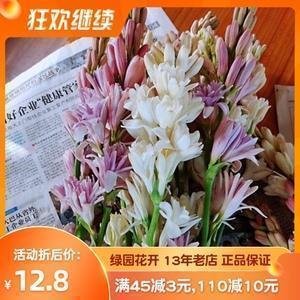 2020冬至快乐祝福语简短问候句子