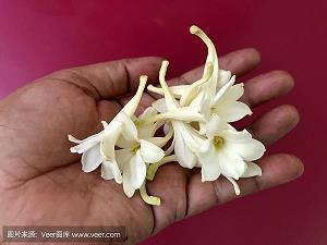 2021高三毕业创意暖心祝福语合集73句