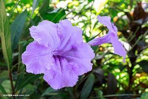 2021中秋节祝福语大全简短(精选73条)