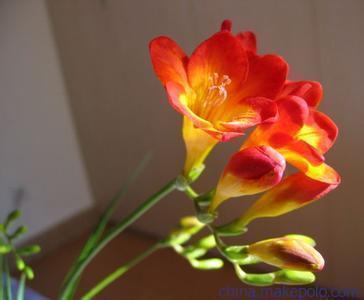 2021正能量激励短句子(精选50句)