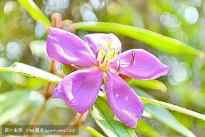 2021春节一句话趣味祝福语