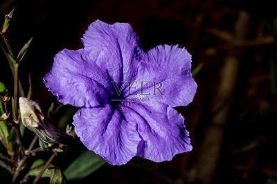 2021五一国际劳动节问候短信