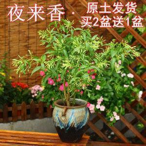 晒宝宝萌照说说句子26句