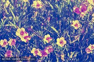 保护动物句子83句