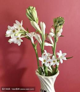 女人生孩子伟大的说说 关于生孩子母亲的伟大说说(精选26句)