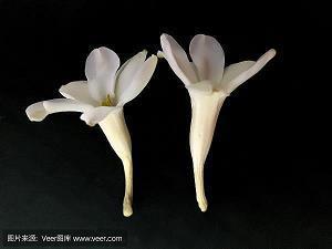 最近很累的心情说说 累了的句子说说心情合集81句