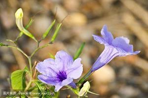 形容小龙虾好吃的句子朋友圈(精选38句)