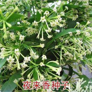 冬季的旅游心情说说12句