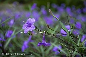 2021建党百年一句祝福送给党