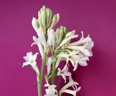 元气满满可爱的句子短句子合集52句