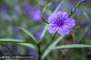 不开心与吃糖果的句子