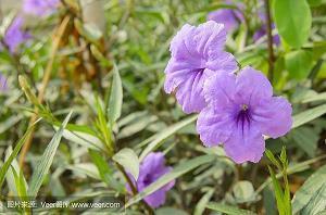 2021霜降经典语录最新 霜降祝福语简短(精选44条)