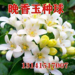 吸引无数人点赞的微信说说 朋友圈经典说说独一无二