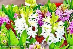 2021适合各种心情的句子简短推荐54句