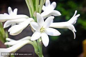颠仆流离