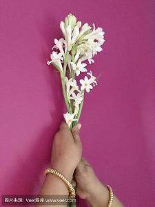 2021牛年新春祝福语贺词