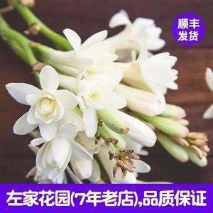很多人在用的个性说说15句，挑句喜欢的