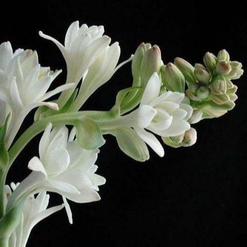 2022元旦节祝福语一句话(精选74条)