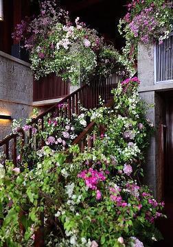 2021年护士节经典祝福文案精选71句