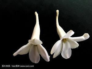 2021年最流行的一句话 2021年最火的句子