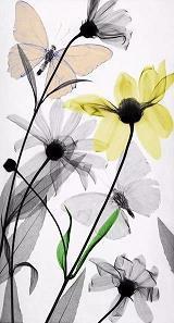 对未来爱情期待的句子 期待爱情美好的句子推荐32句