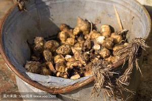关于甜食的说说