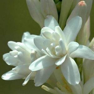 八一建军节祝福语说说大全