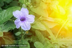 关于关于和喜欢的人打游戏的说说(精选28句)