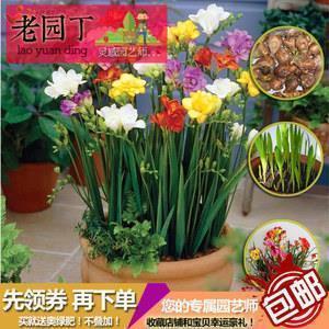 2021元宵节经典祝福句子