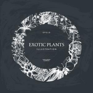 名人说的句子100句