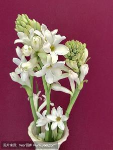 2020送客户的三八妇女节祝福语