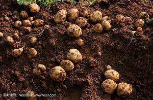 2021生日贺卡祝福语闺蜜(精选73条)