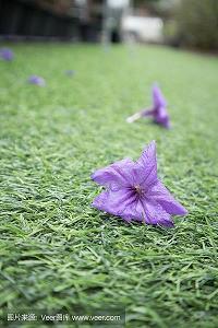 十二月文案句子 十二月朋友圈文案短句