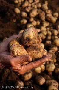 2021最后一天祝福语说说(精选95句)